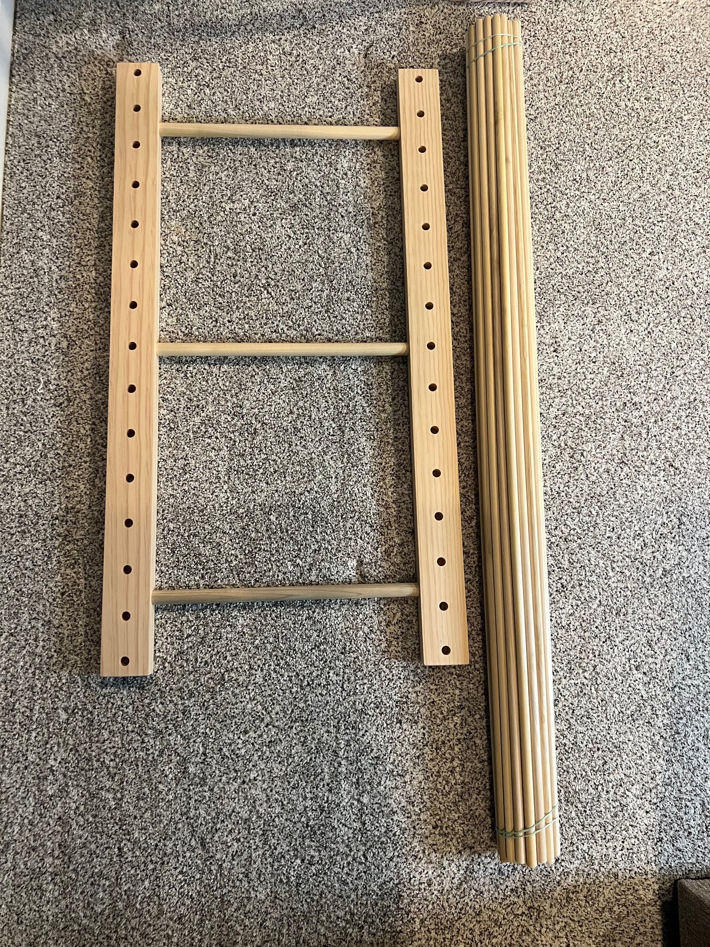 Enclosed Art Storage Rack / Art Storage Cart