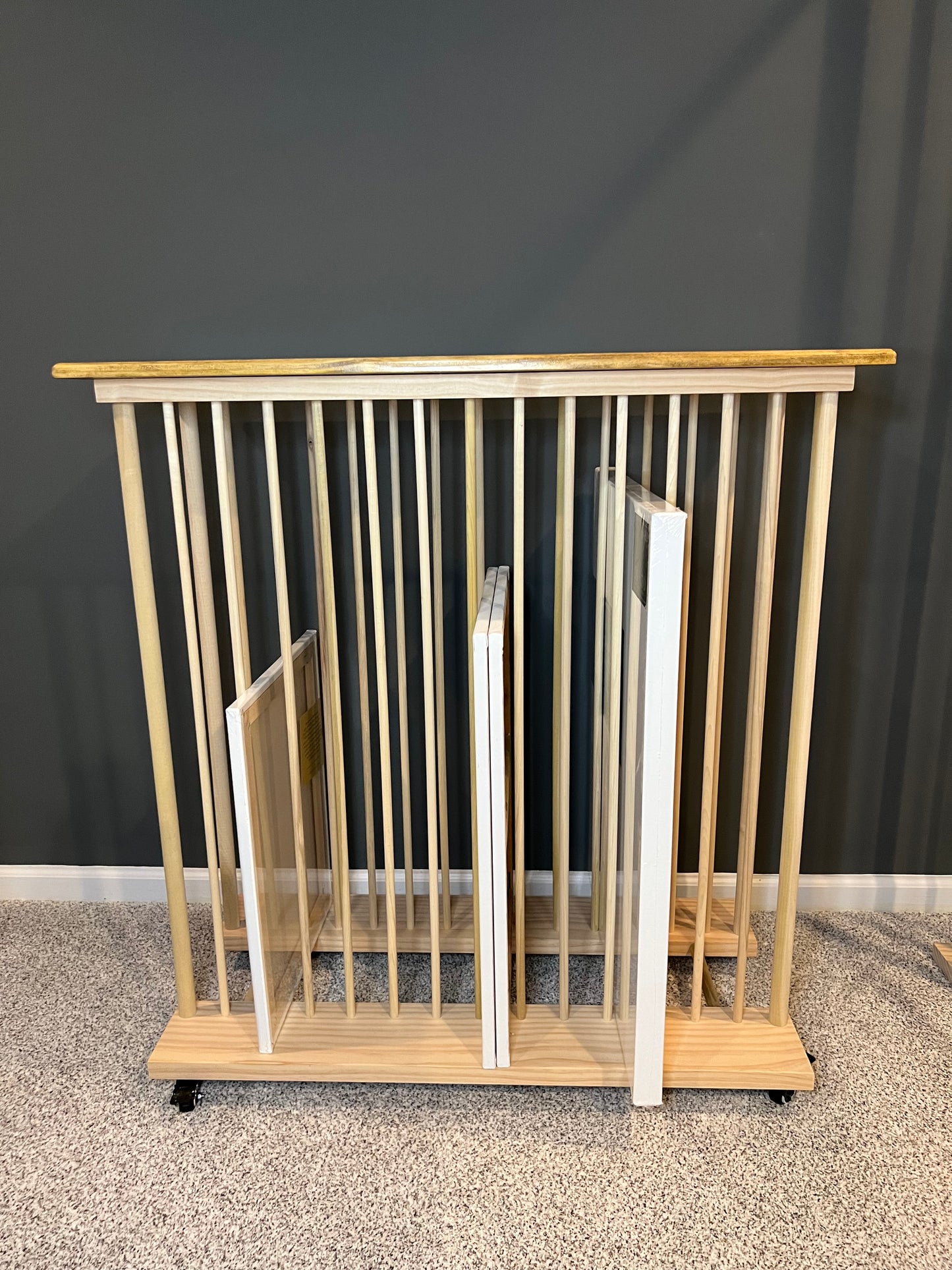 Enclosed Art Storage Rack / Art Storage Cart