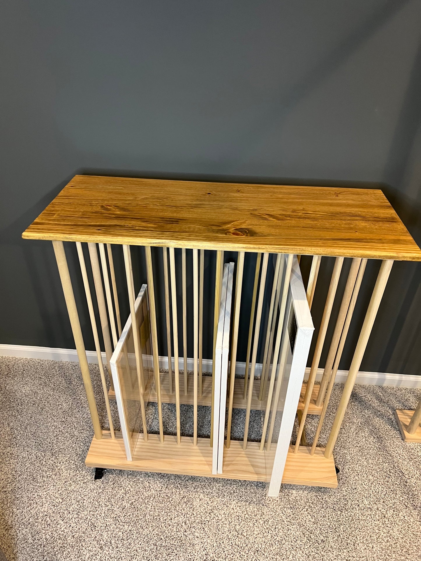 Enclosed Art Storage Rack / Art Storage Cart