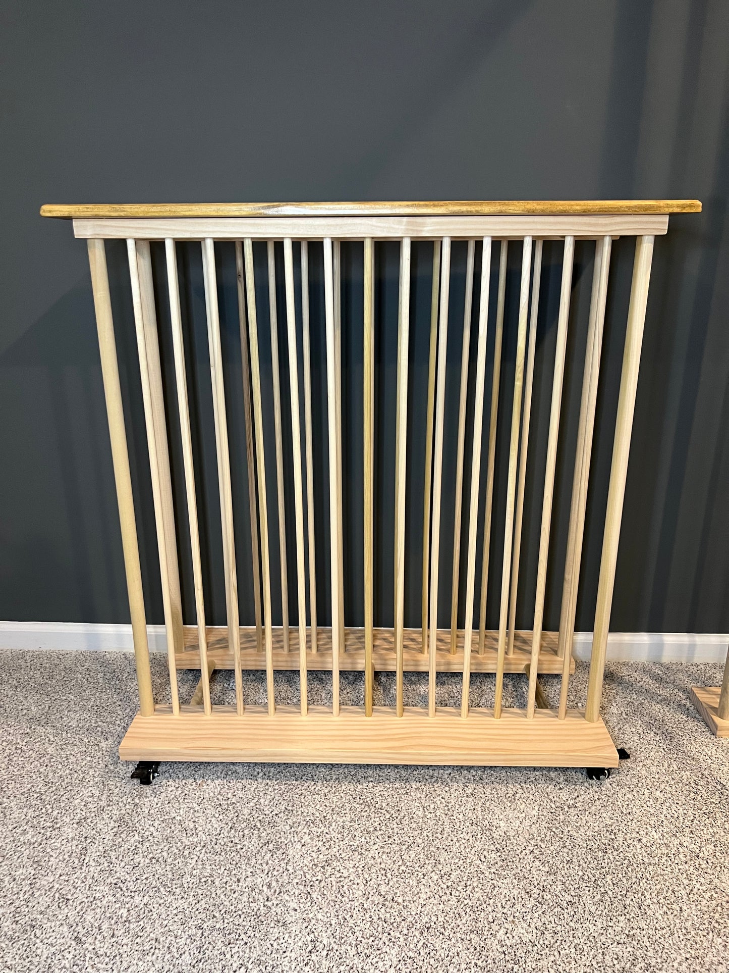 Enclosed Art Storage Rack / Art Storage Cart