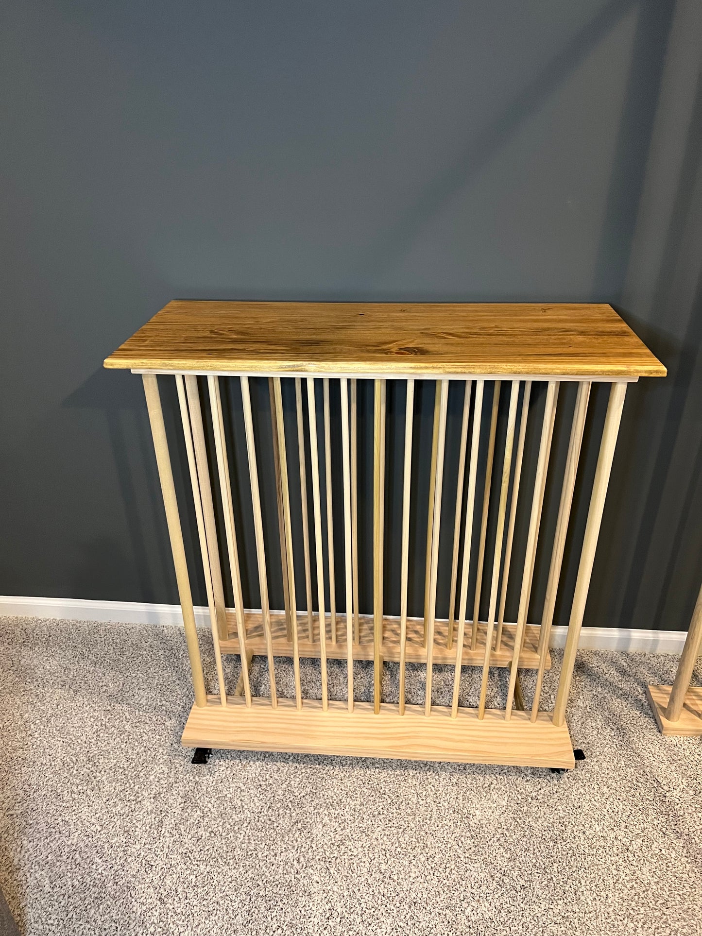 Enclosed Art Storage Rack / Art Storage Cart