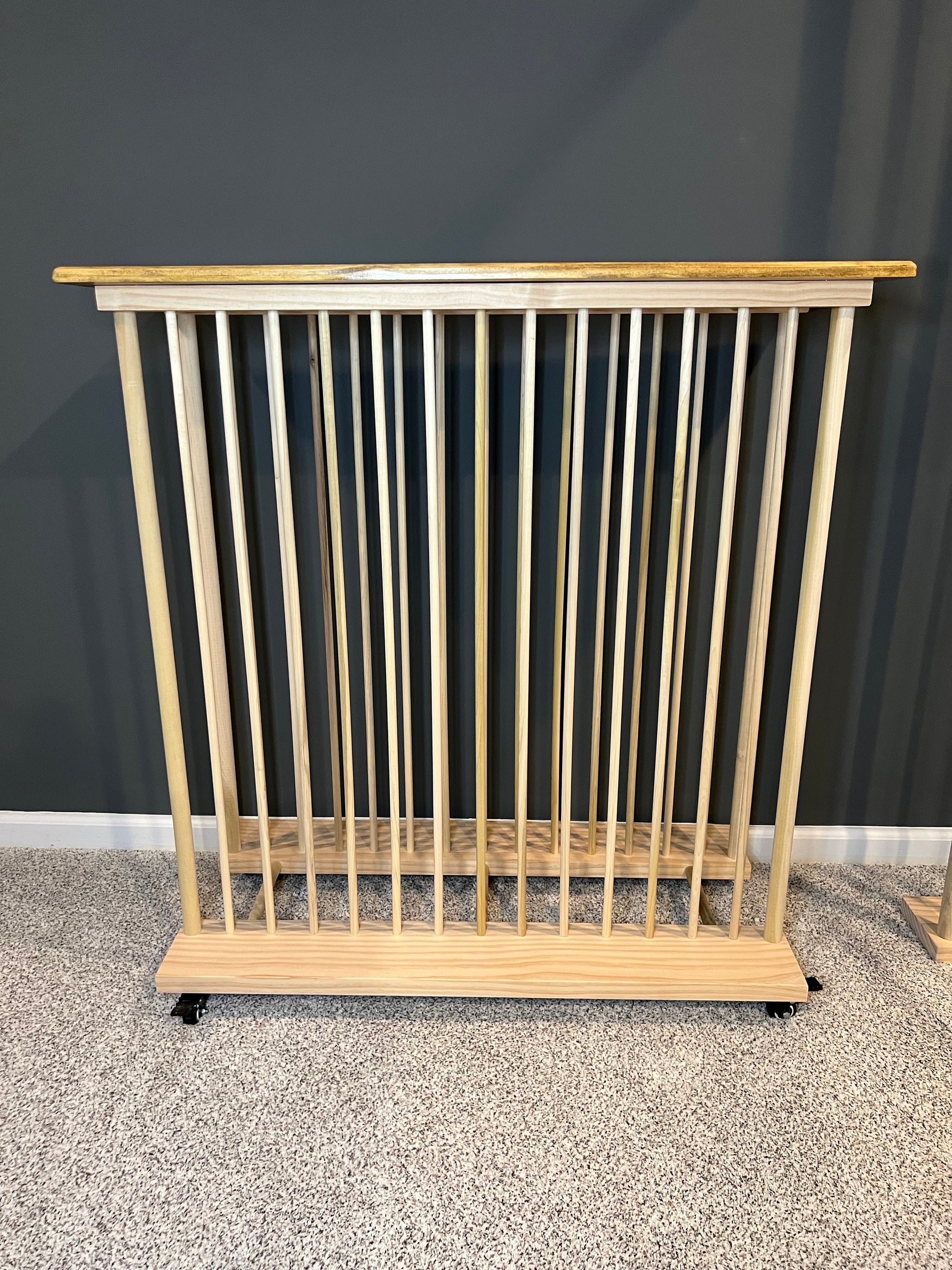 Enclosed Art Storage Rack / Art Storage Cart with Included Top Shelf