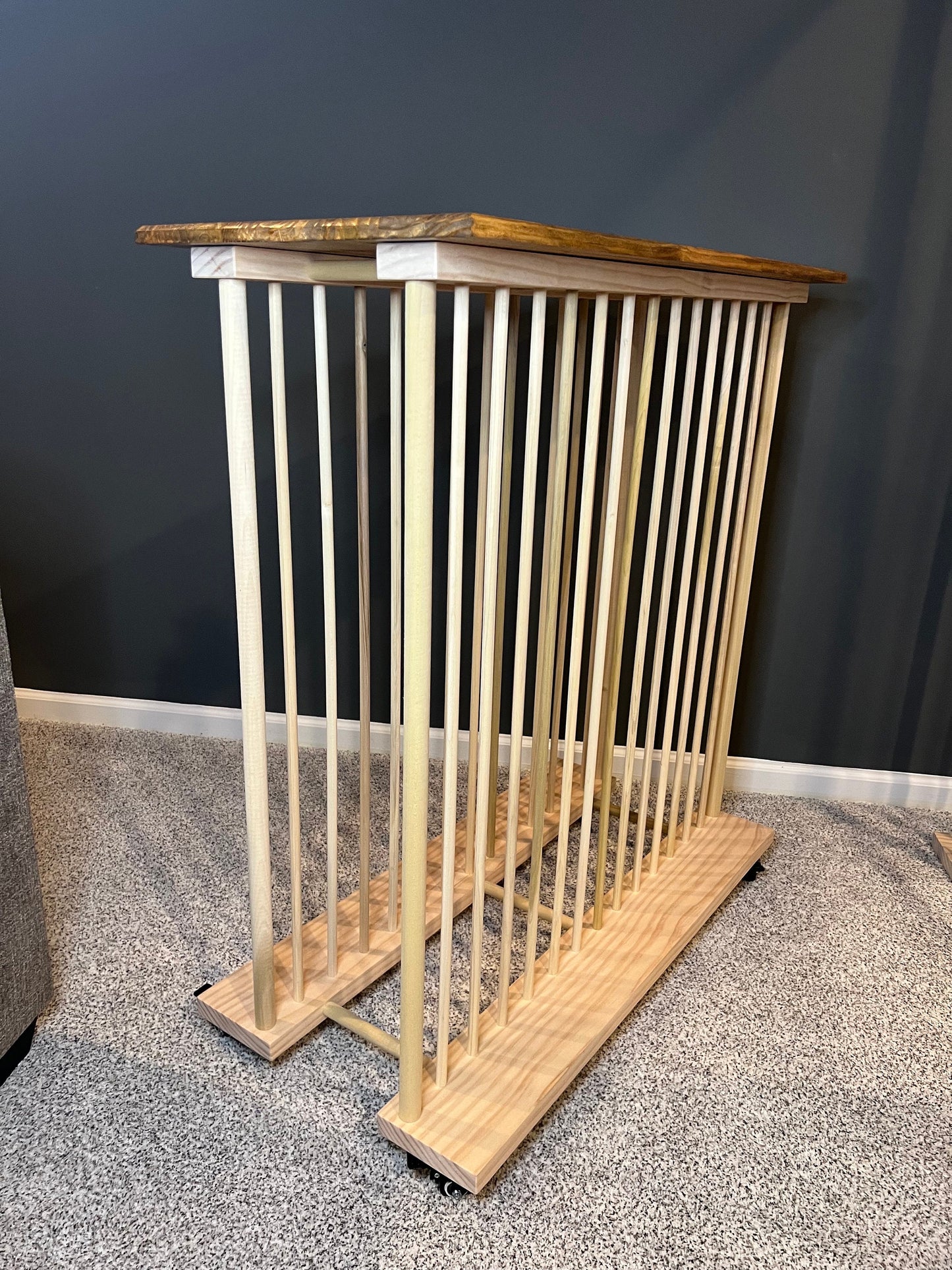 Enclosed Art Storage Rack / Art Storage Cart with Included Top Shelf
