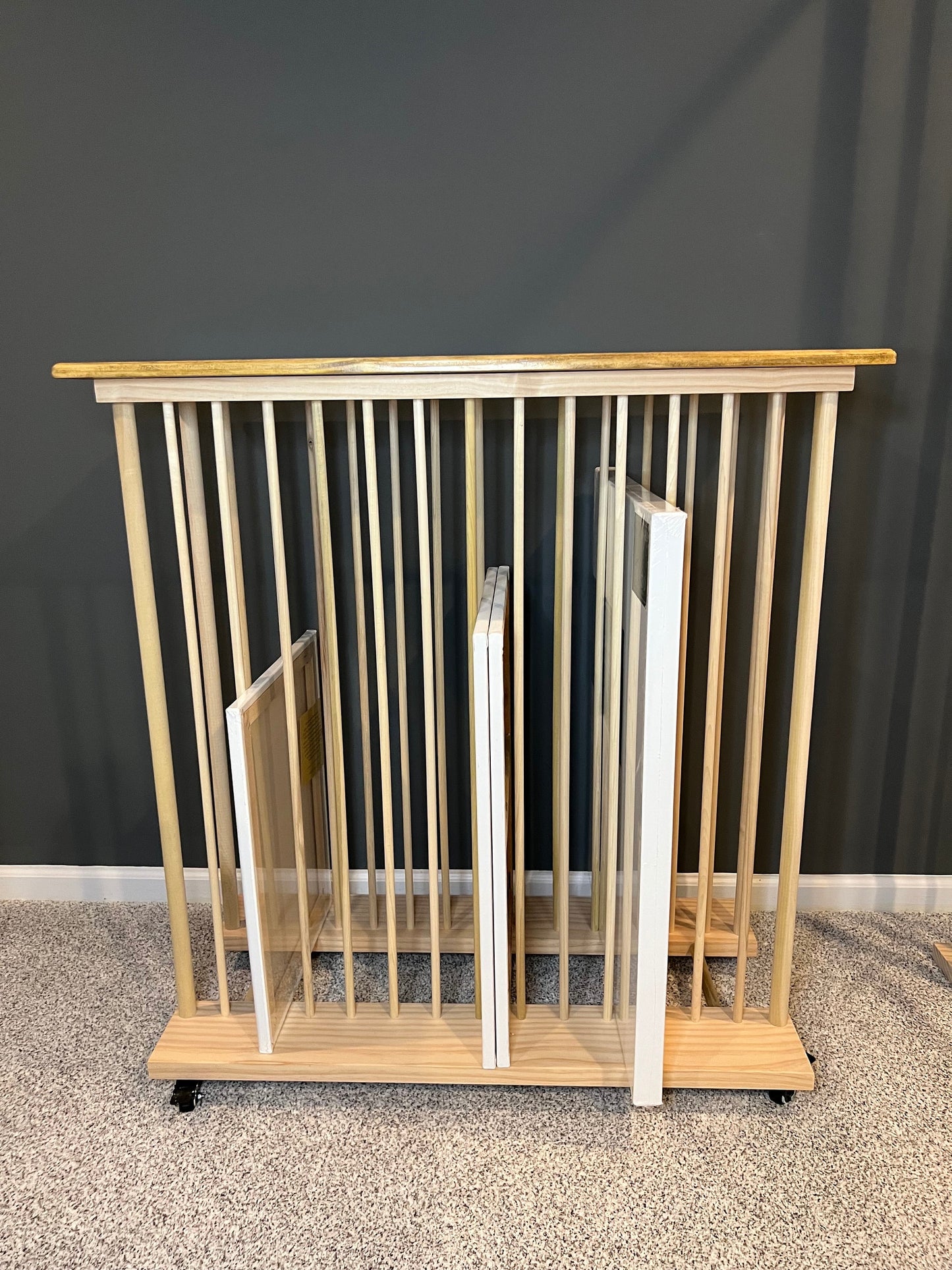 Enclosed Art Storage Rack / Art Storage Cart with Included Top Shelf